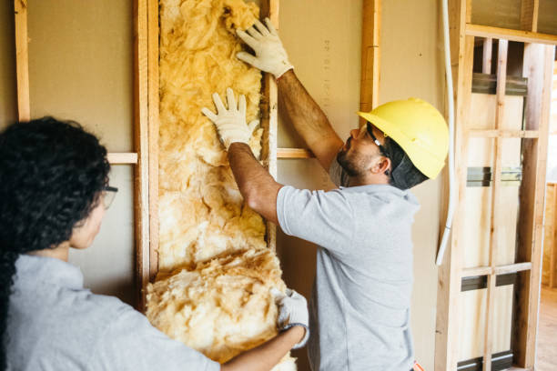 Best Insulation Removal  in Oakridge, OR
