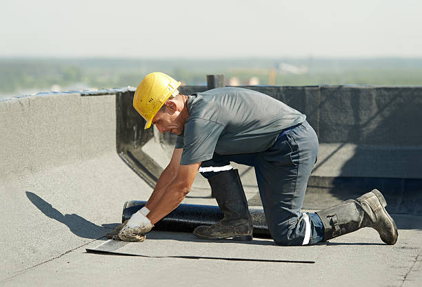 Best Cellulose Insulation  in Oakridge, OR