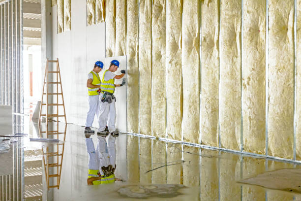 Best Insulation Replacement Services  in Oakridge, OR
